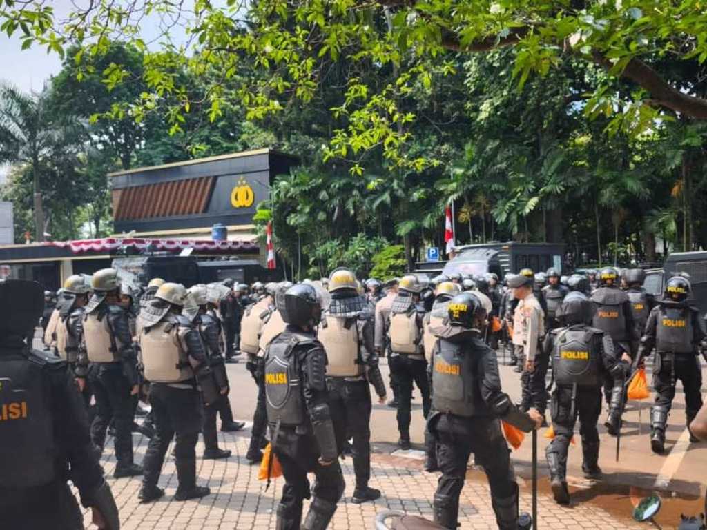 Search image article