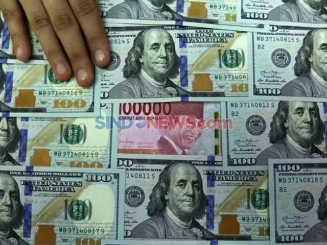 Search image article