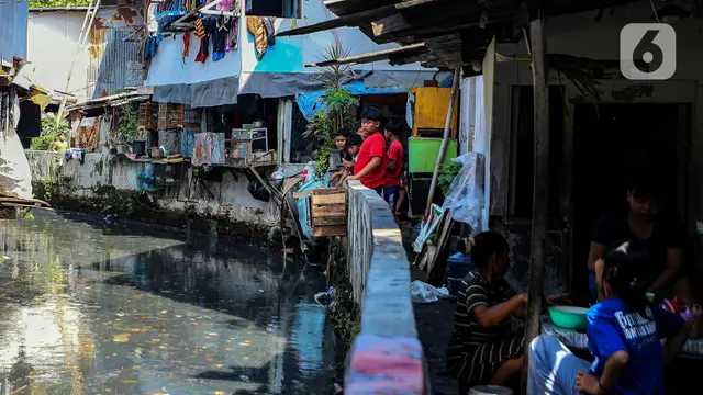 Search image article