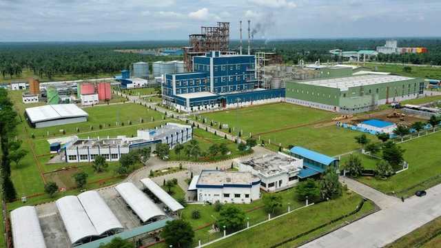 Search image article