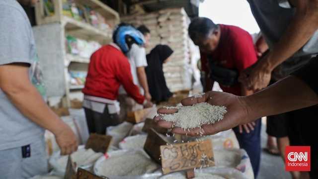 Search image article