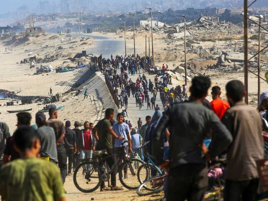 Search image article