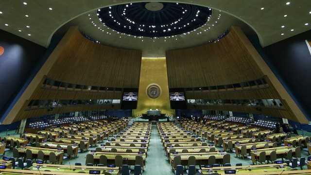 Search image article