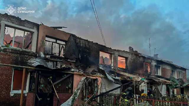 Search image article