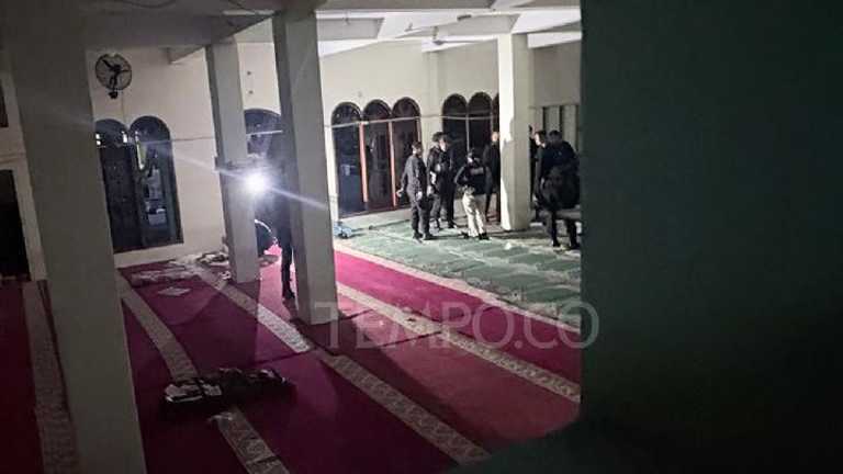 Search image article