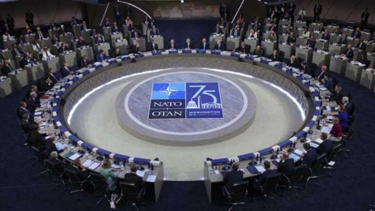 Search image article