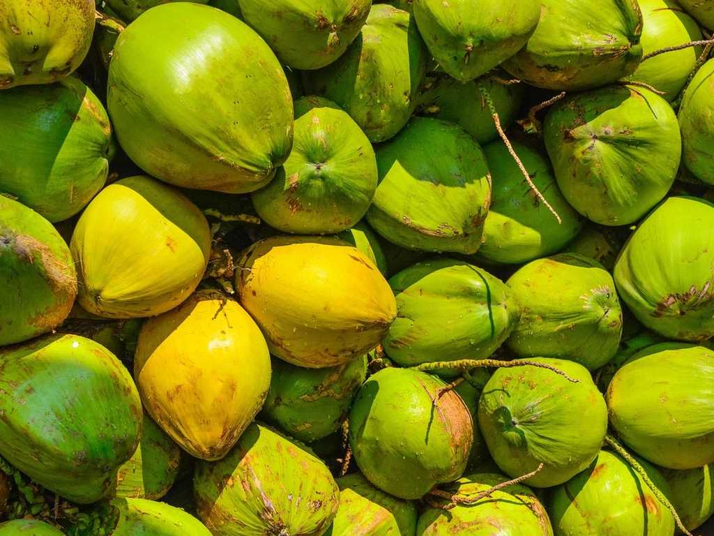 Search image article