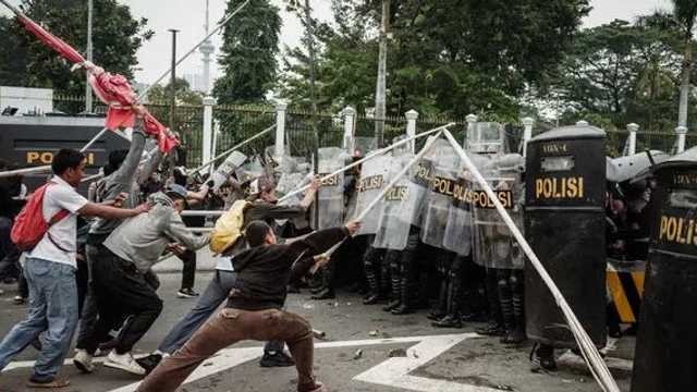 Search image article