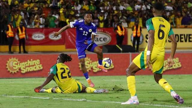 Search image article