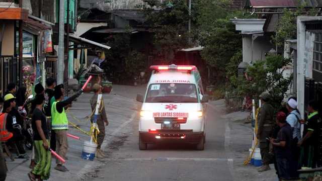 Search image article