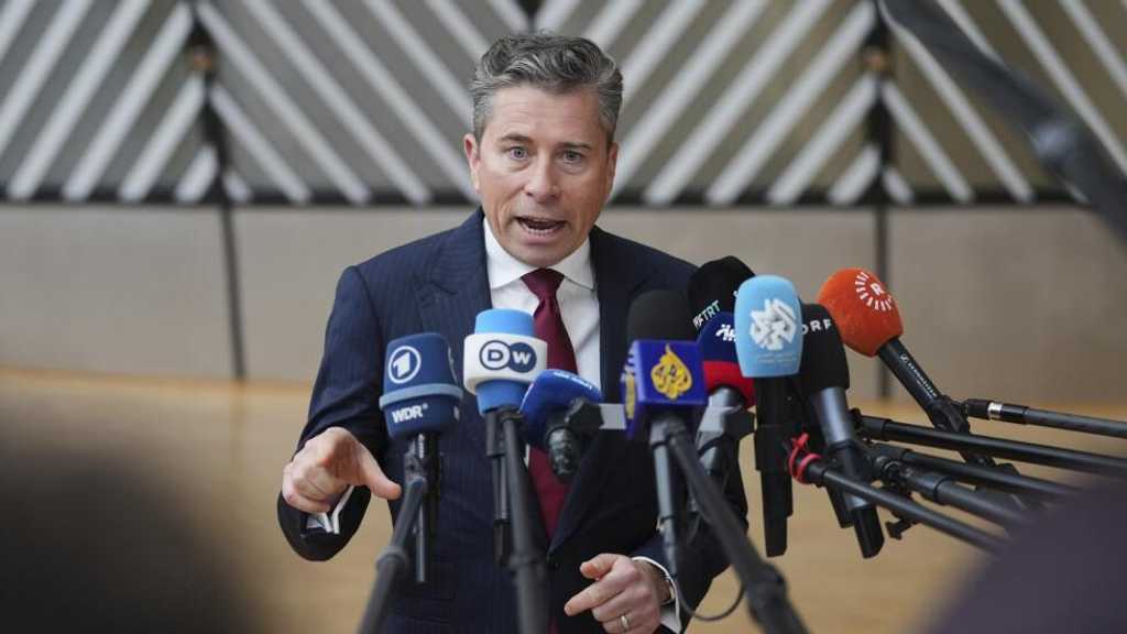 Search image article