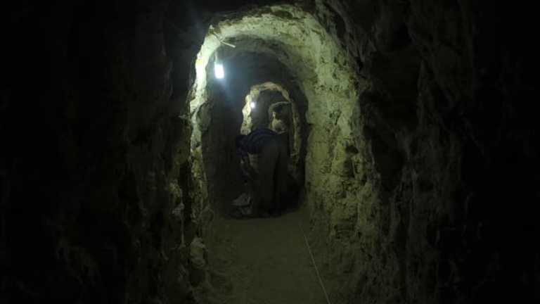 Trump Ajukan Rencana: Hamas Serahkan Senjata, Dapat Amnesti?