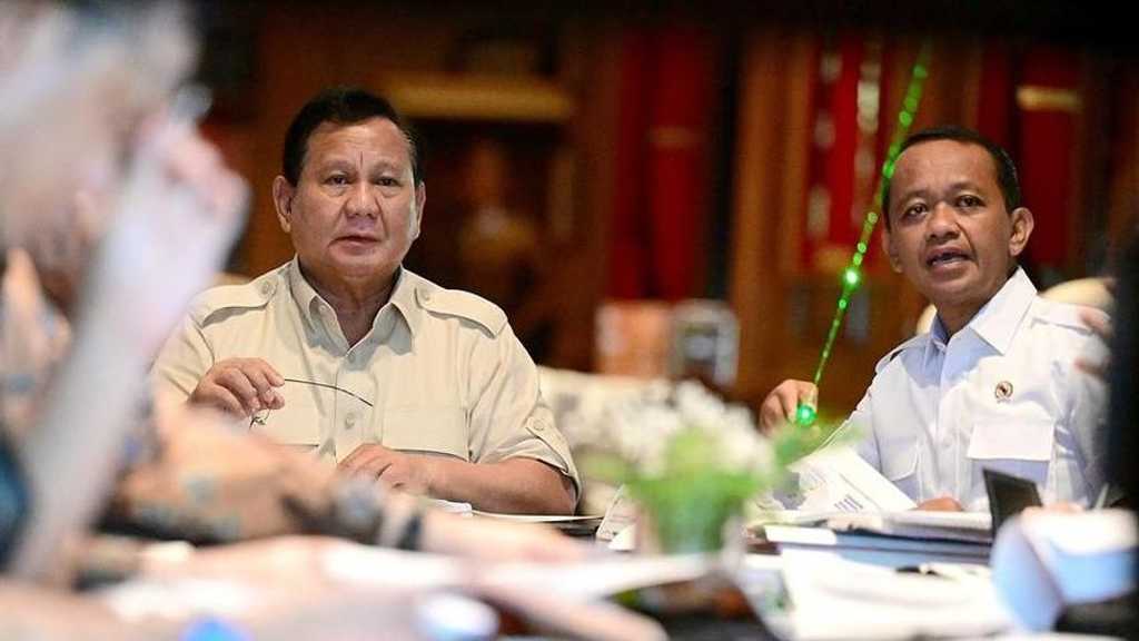 Search image article