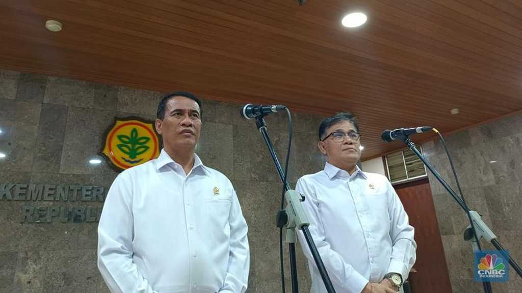 Search image article