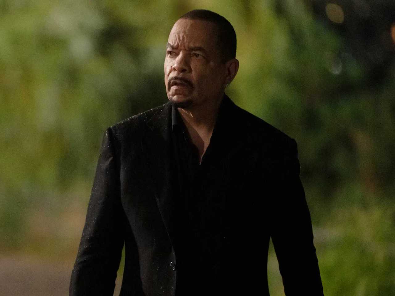 Search image article