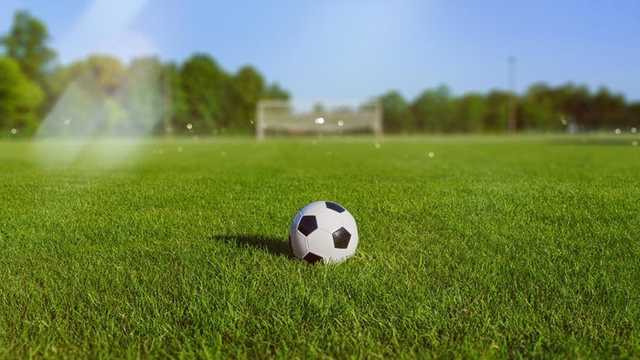 Search image article