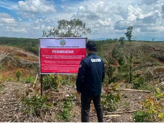 Search image article