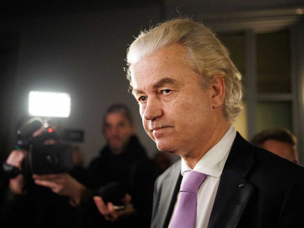 Search image article