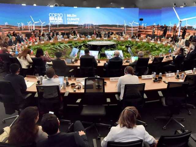 Search image article