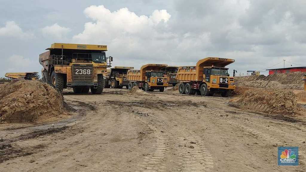 Pendapatan BUMI Melesat 11,9%, Tapi Laba Bersih Anjlok 56%