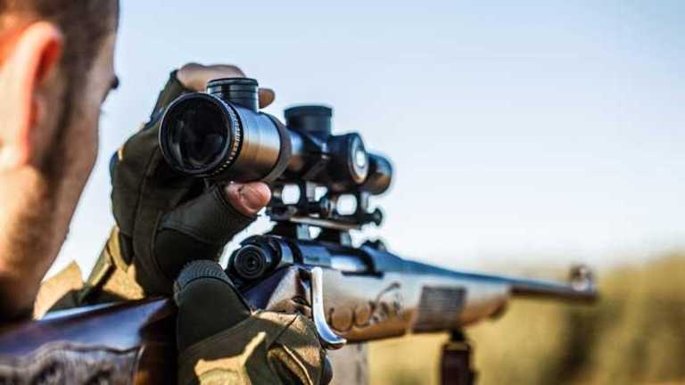 Search image article