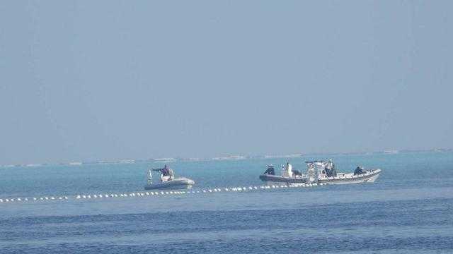 Search image article