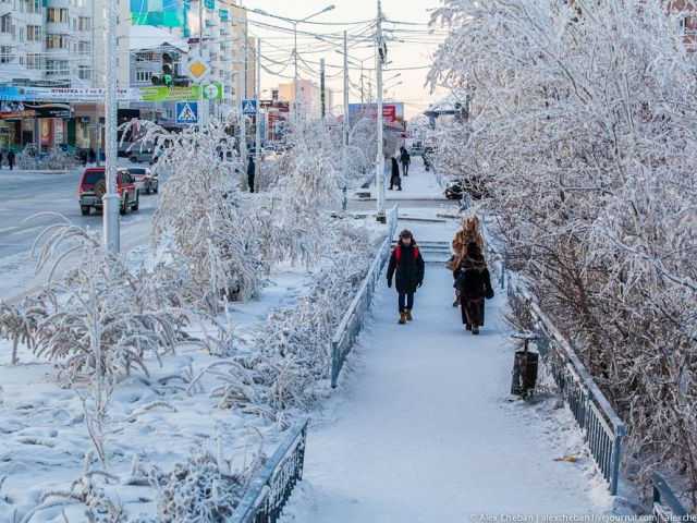 Search image article