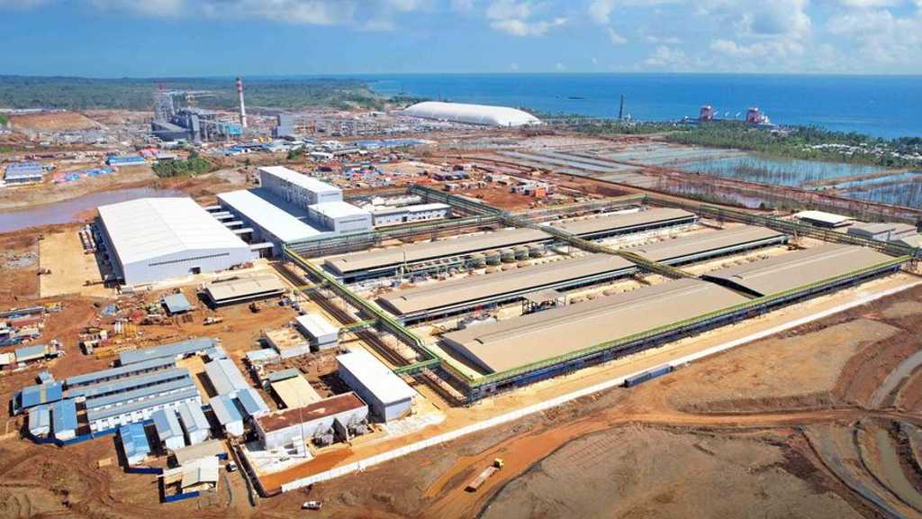 Search image article