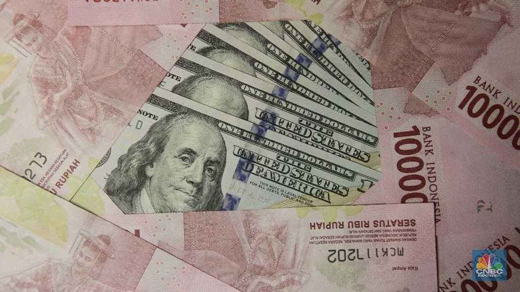 Search image article