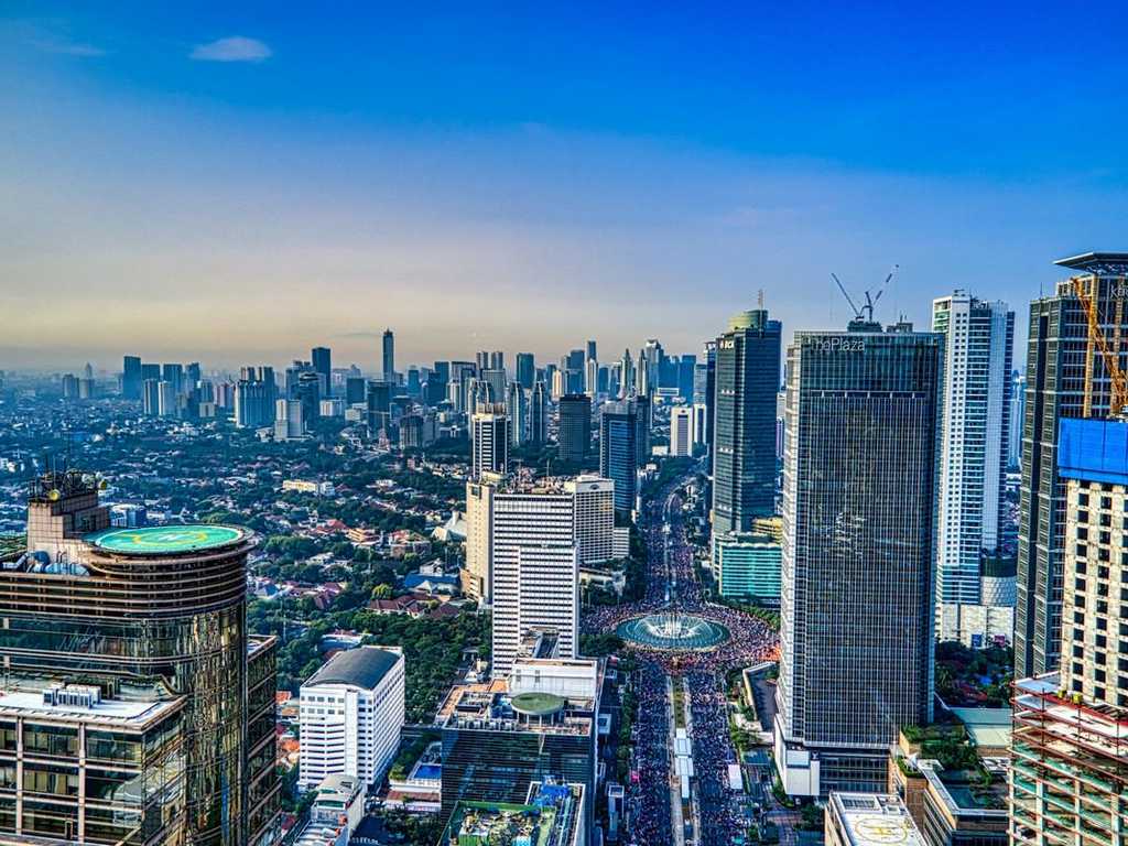 Search image article