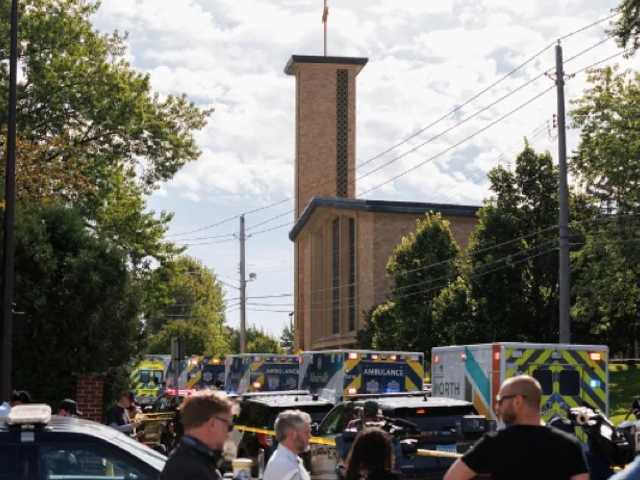 Search image article