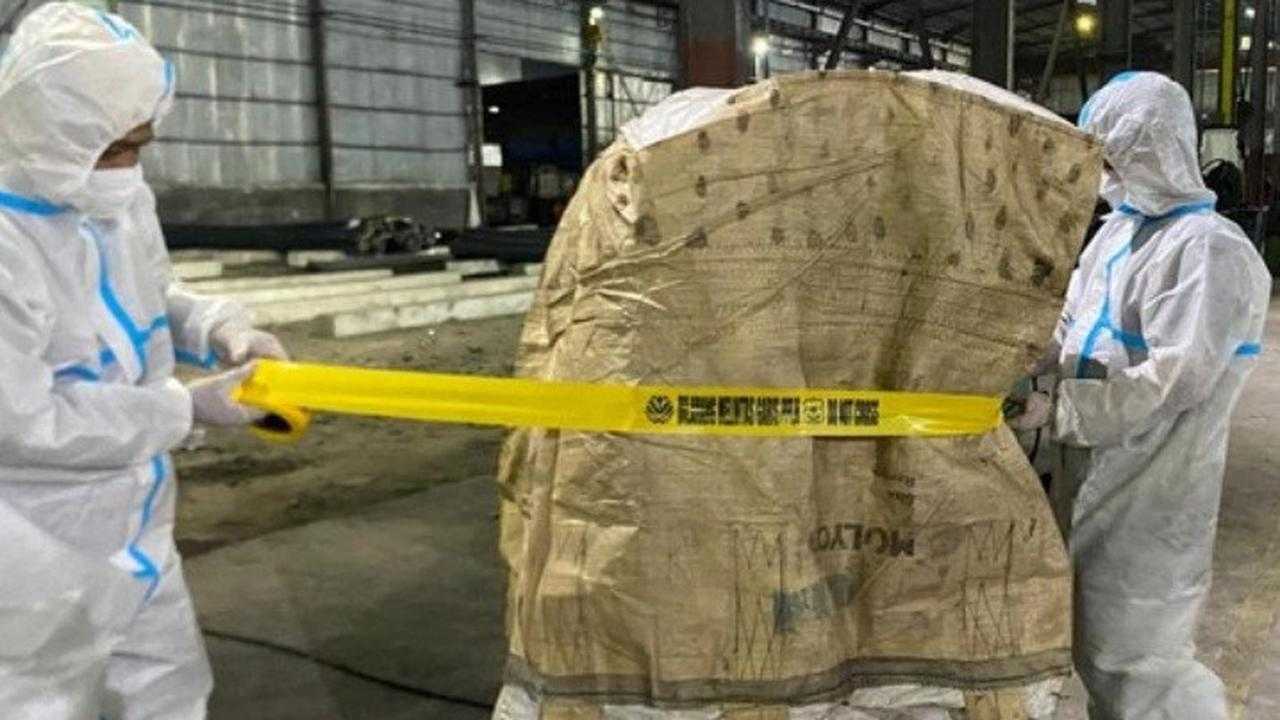 Search image article