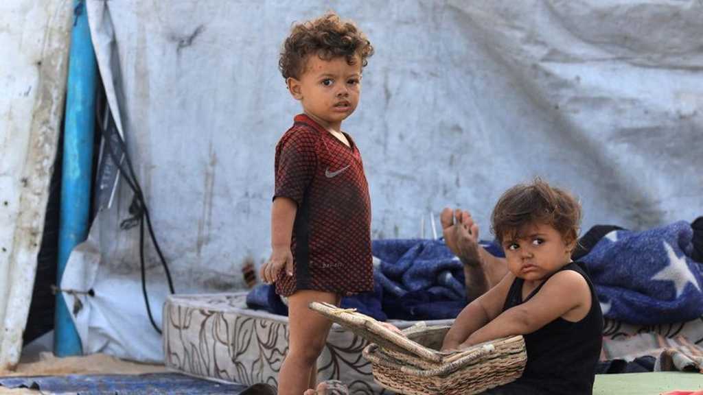 Trump Serukan Israel Henti Bom Gaza, Dunia Dukung Perdamaian Mendekat