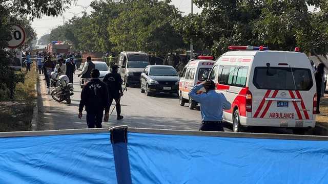 Search image article