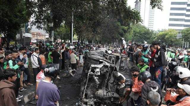 Search image article