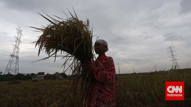 Search image article