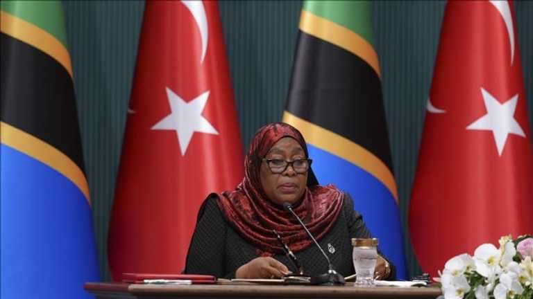 Search image article