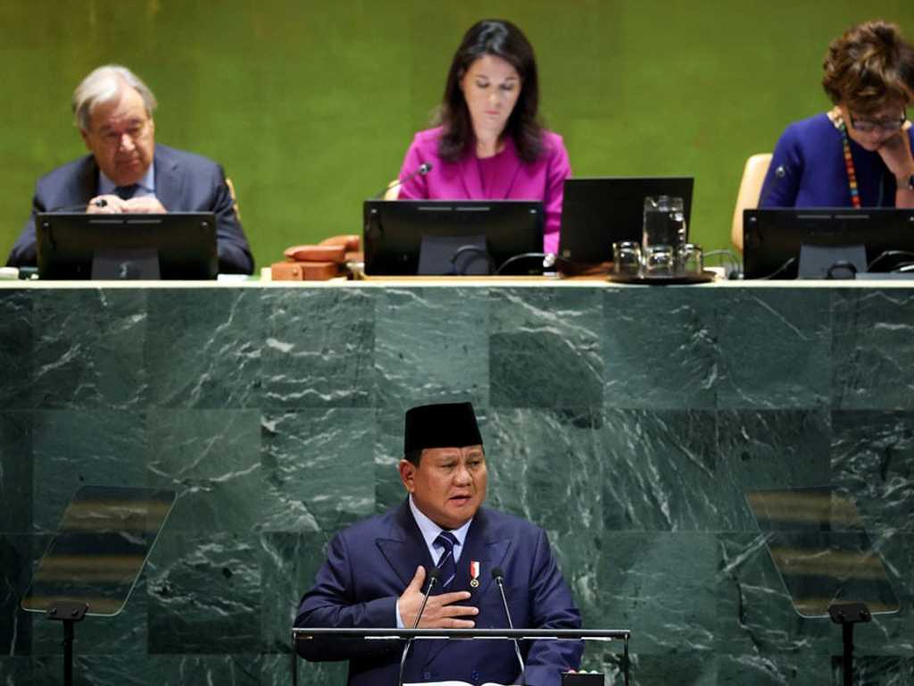 Search image article