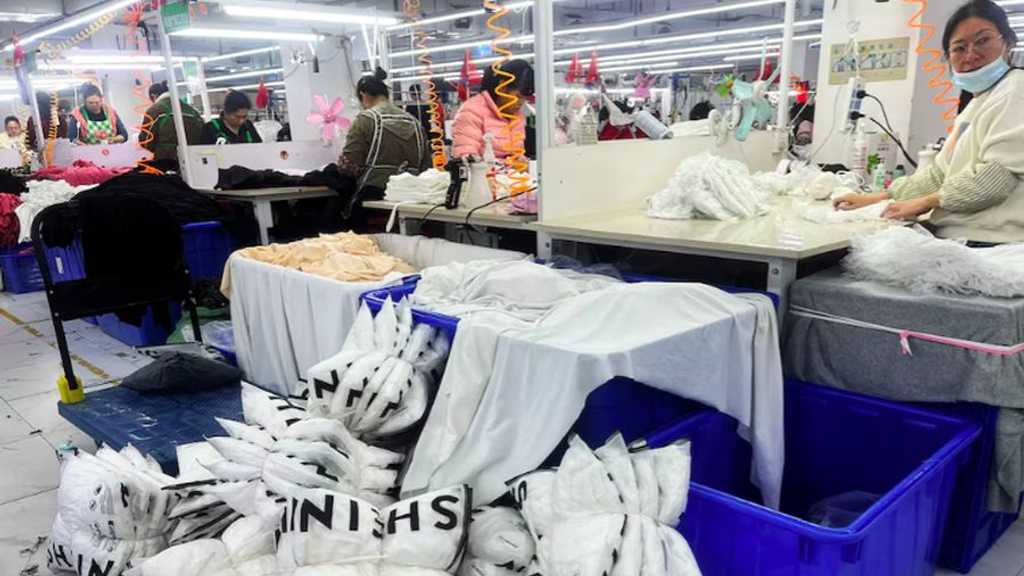 Search image article