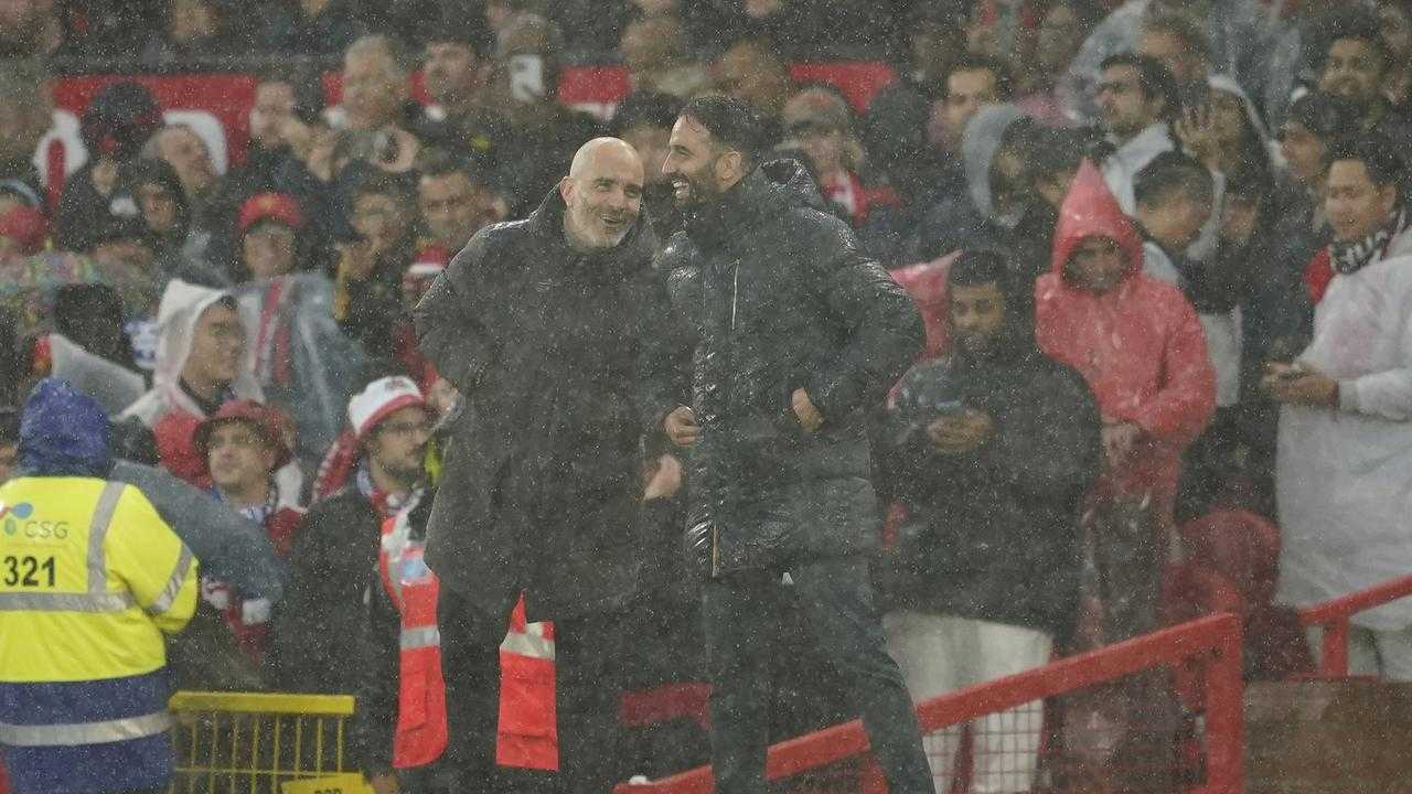 Search image article