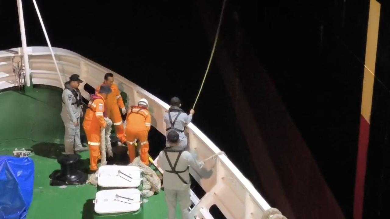 Search image article