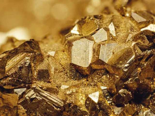 Search image article