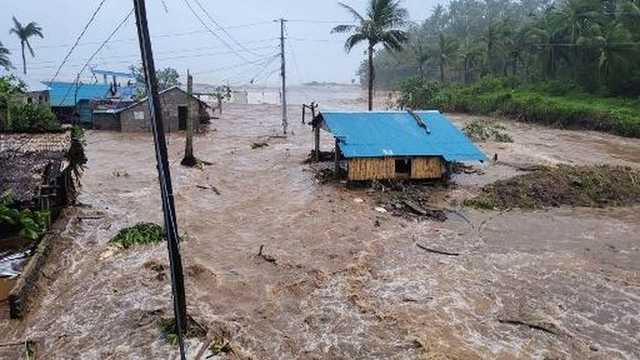 Search image article