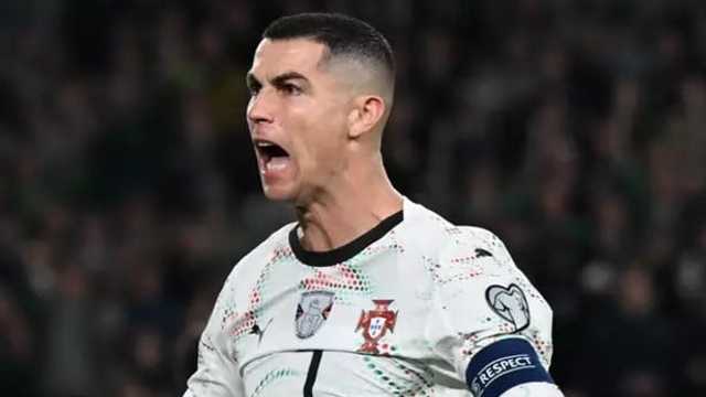 Search image article