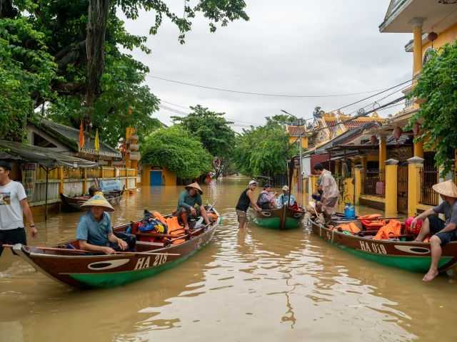 Search image article