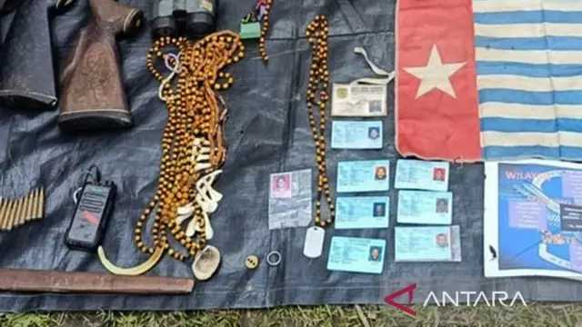 Search image article