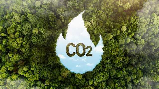 Search image article