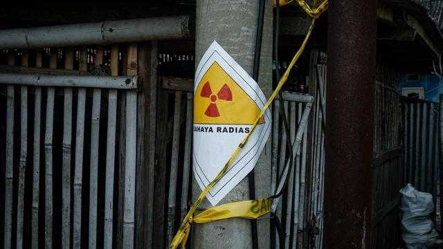 Search image article