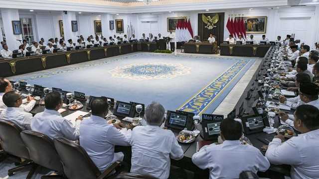 Search image article