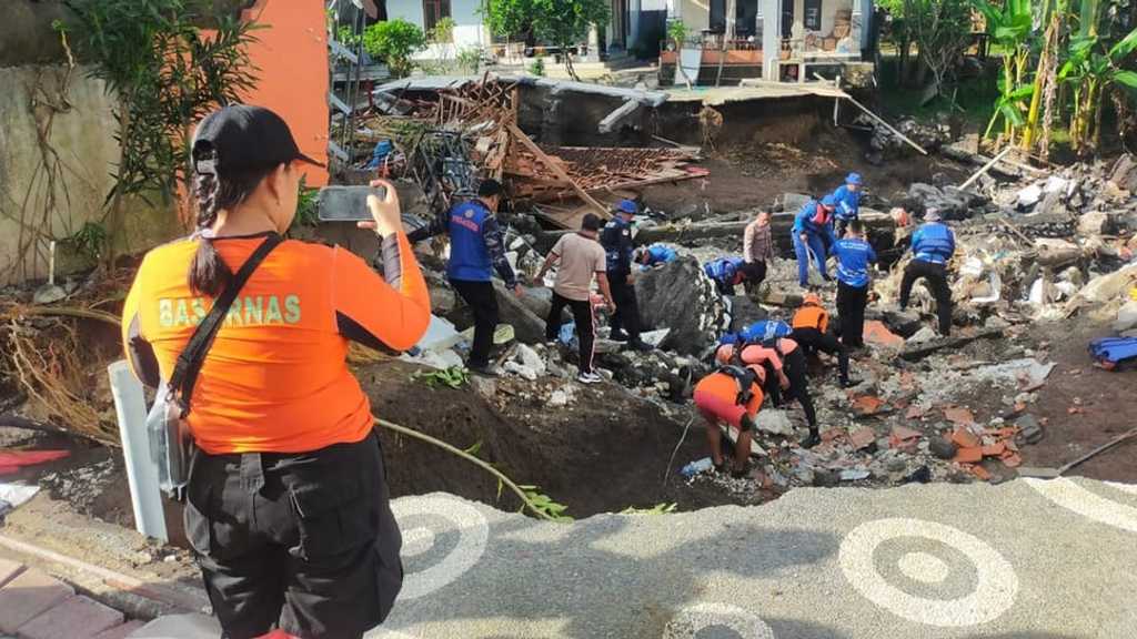 Search image article